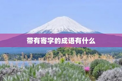 带有寄字的成语有什么