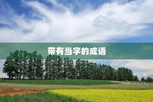 带有当字的成语