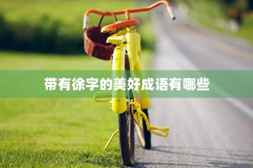带有徐字的美好成语有哪些