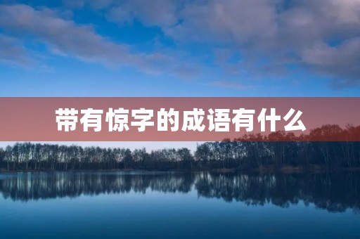 带有惊字的成语有什么