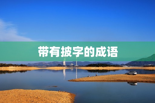 带有披字的成语