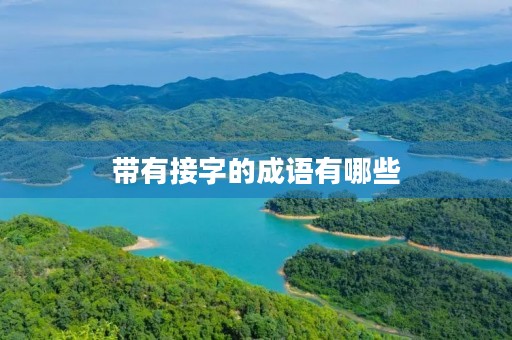 带有接字的成语有哪些