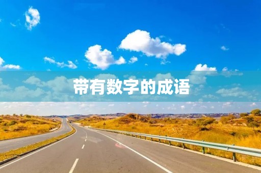 带有数字的成语 带有数字的成语
