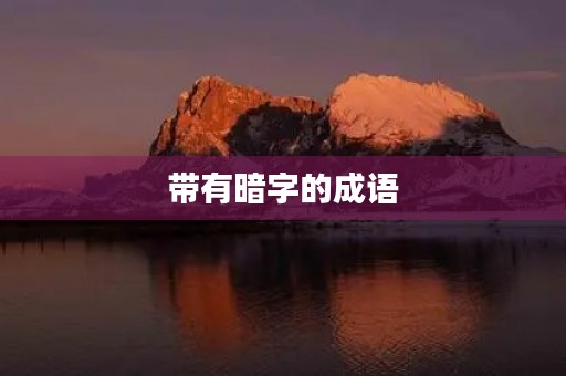 带有暗字的成语 带有暗字的成语