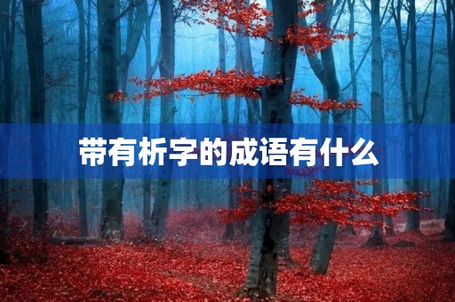 带有析字的成语有什么