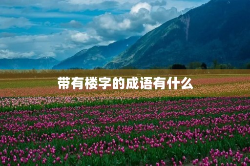 带有楼字的成语有什么