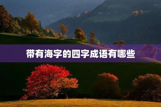 带有海字的四字成语有哪些
