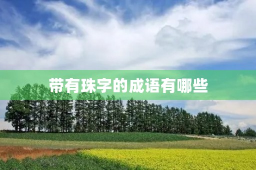 带有珠字的成语有哪些