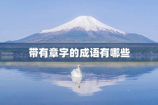 带有章字的成语有哪些 带有章字的成语有哪些