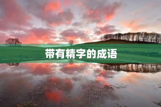 带有精字的成语