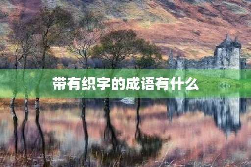 带有织字的成语有什么