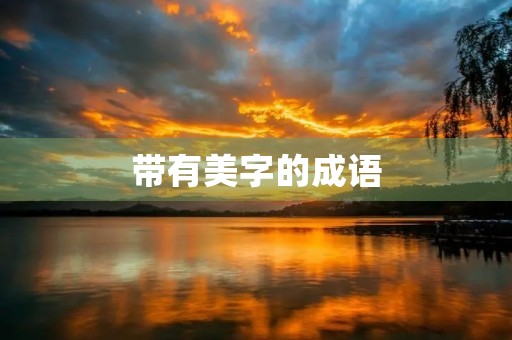 带有美字的成语
