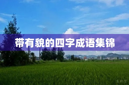 带有貌的四字成语集锦