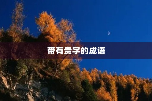 带有贵字的成语