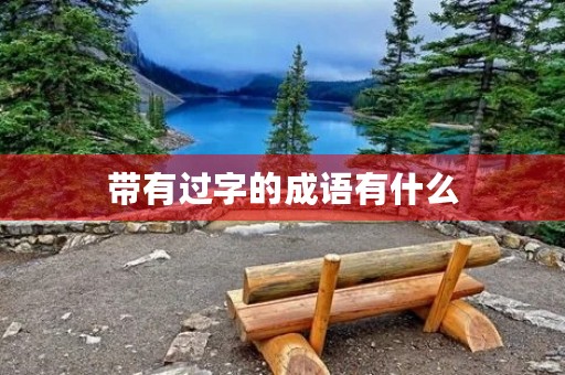 带有过字的成语有什么