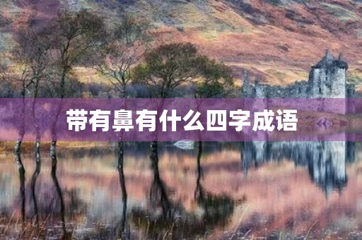 带有鼻有什么四字成语