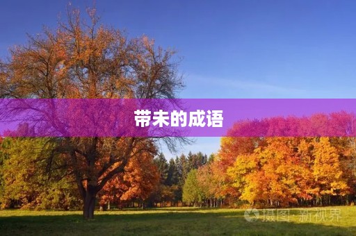 带未的成语 带未的成语