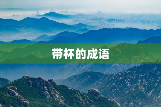 带杯的成语