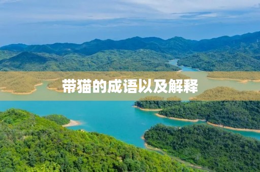 带猫的成语以及解释