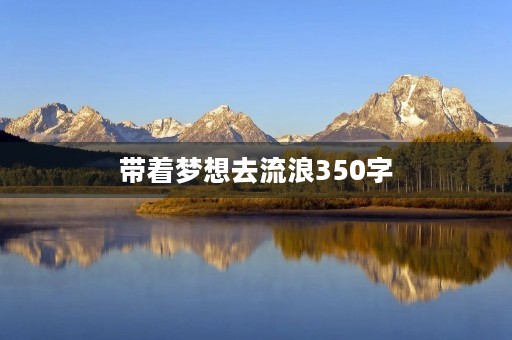 带着梦想去流浪350字
