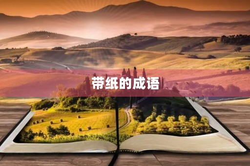 带纸的成语