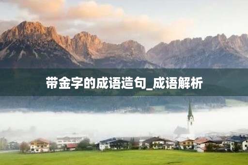 带金字的成语造句_成语解析 带金字的成语造句_成语解析