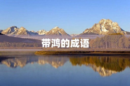 带鸿的成语