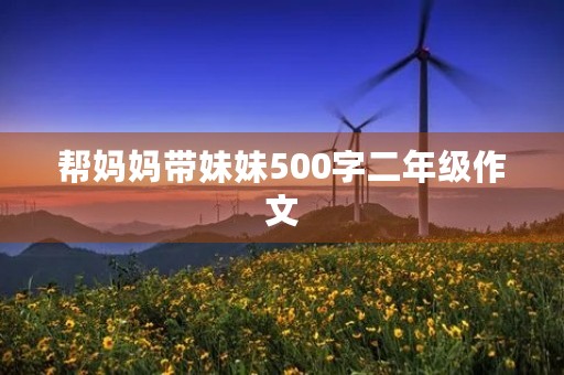 帮妈妈带妹妹500字二年级作文