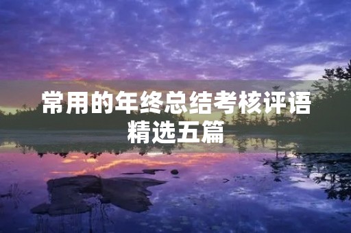常用的年终总结考核评语精选五篇