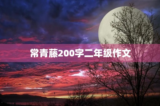 常青藤200字二年级作文 常青藤200字二年级作文