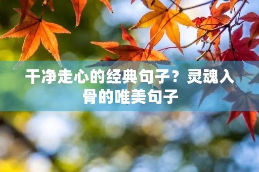 干净走心的经典句子?灵魂入骨的唯美句子 干净走心的经典句子?灵魂入骨的唯美句子