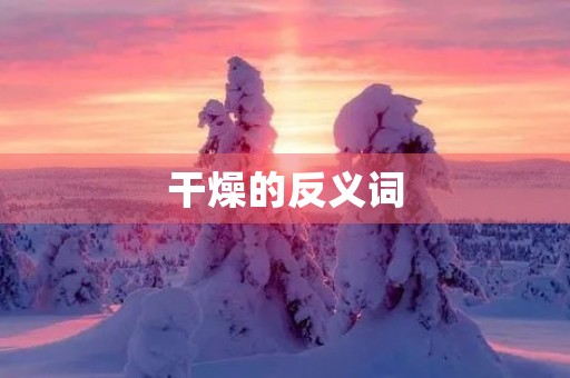 干燥的反义词(干燥的反义词)