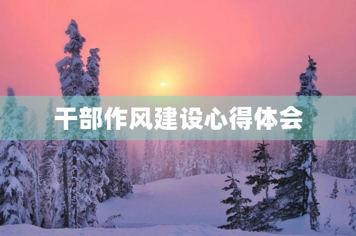干部作风建设心得体会