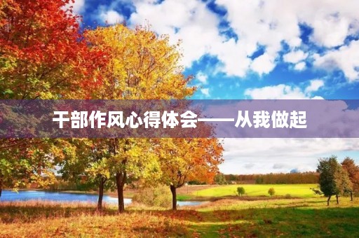 干部作风心得体会——从我做起