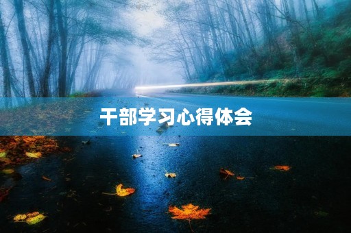 干部学习心得体会