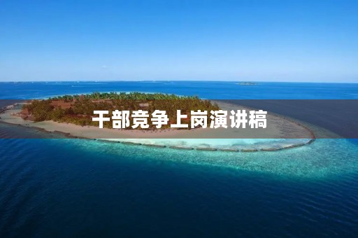干部竞争上岗演讲稿