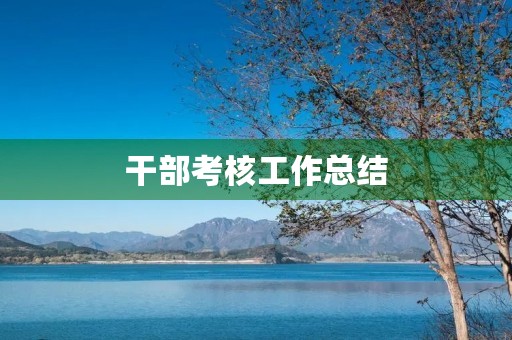 干部考核工作总结