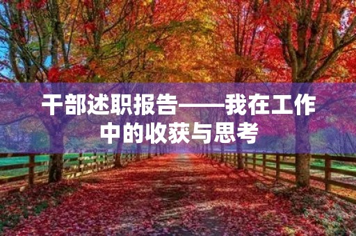 干部述职报告——我在工作中的收获与思考