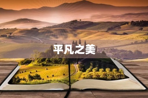 平凡之美