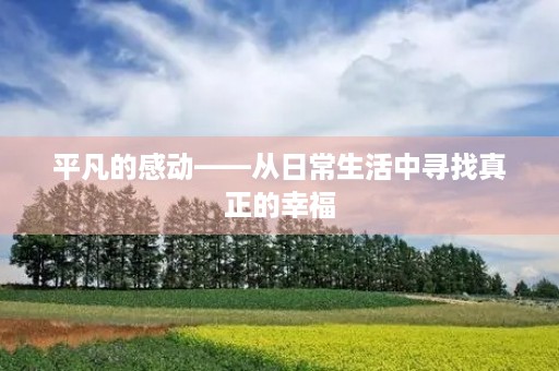 平凡的感动——从日常生活中寻找真正的幸福 平凡的感动——从日常生活中寻找真正的幸福