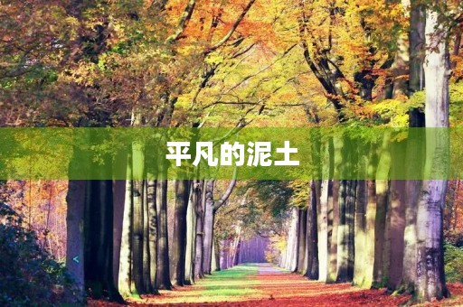 平凡的泥土