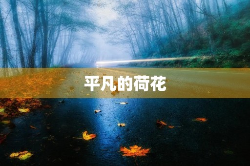 平凡的荷花 平凡的荷花