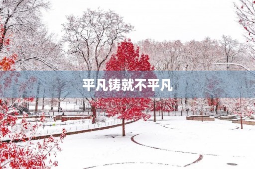 平凡铸就不平凡 平凡铸就不平凡
