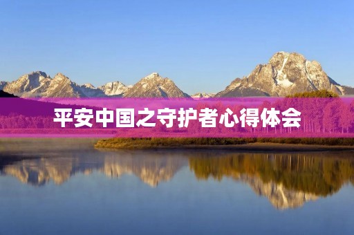 平安中国之守护者心得体会