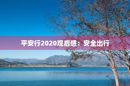 平安行2020观后感:安全出行,快乐回家 平安行2020观后感:安全出行,快乐回家