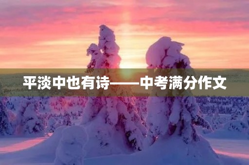 平淡中也有诗——中考满分作文