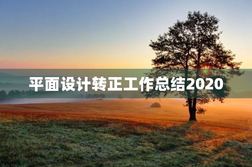 平面设计转正工作总结2020