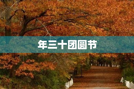 年三十团圆节 年三十团圆节