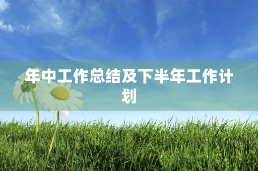 年中工作总结及下半年工作计划