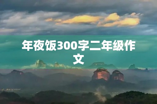 年夜饭300字二年级作文